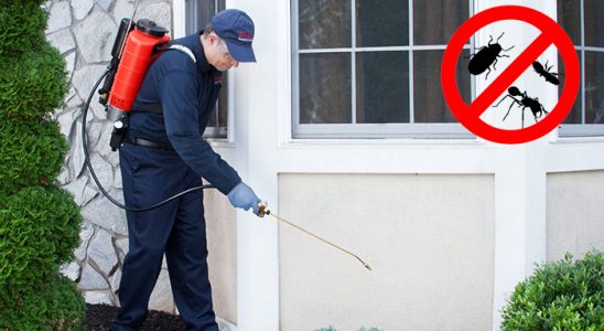 Haliliye Bit İlaçlama böcek ilaçlama ve haşere kontrolü — ilaclama-tr.com